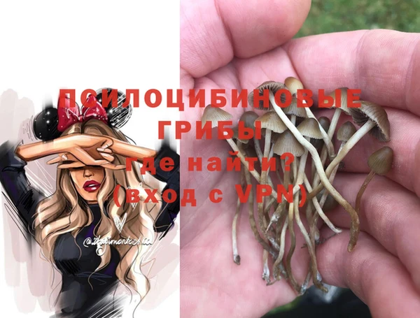 амфетамин Алексин