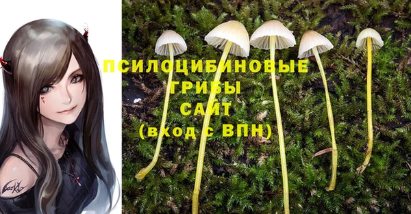 спиды Алзамай
