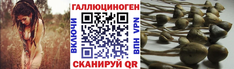 Псилоцибиновые грибы прущие грибы  Белгород 